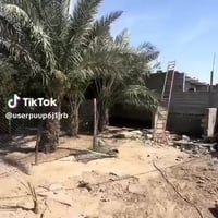 دونم • بيت مبني • معمل بلوك الشيخ