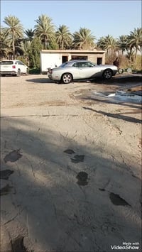 شالنجر • ٢٠١٤ • رقم بغداد