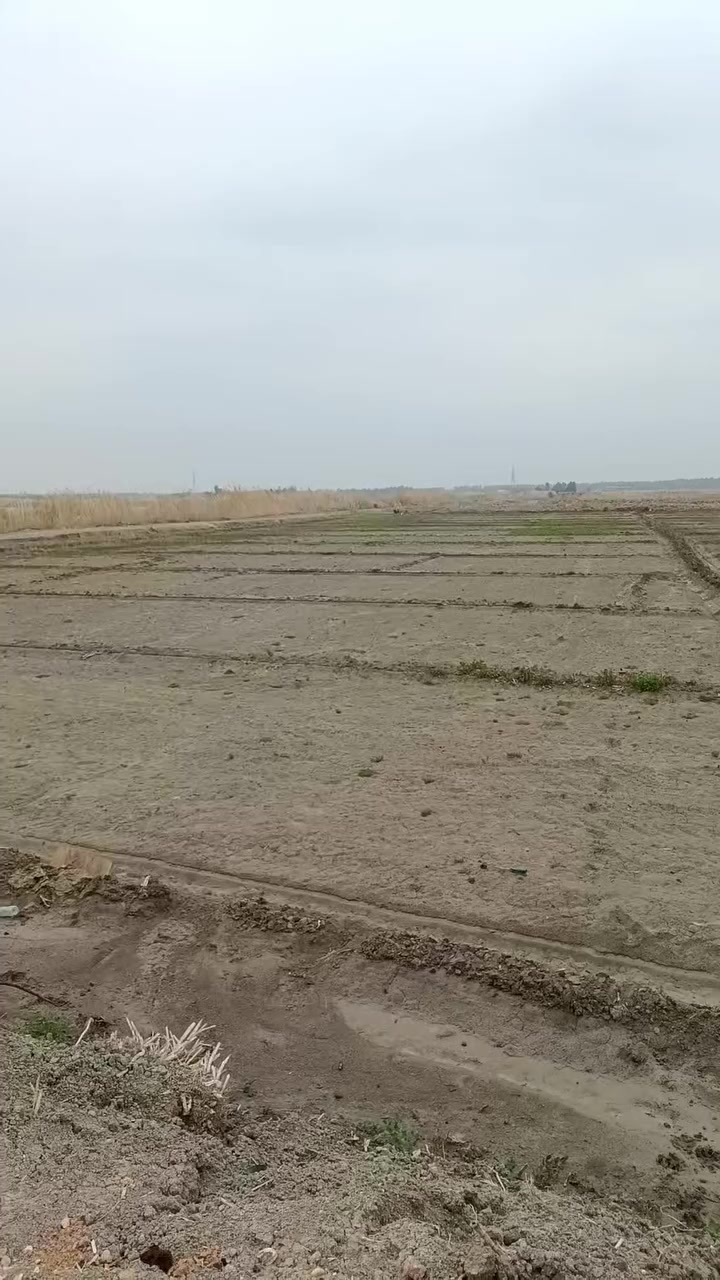 مزرعه تحت الانشاء بيه مسبح واستراحه ومرشات وكهرباء وماء اساله ونهر ومزروعه تلات وزيتون وجت للبيع او الاستثمار شريك نكمه وناجره ونسوي بيه تربيه عجول منحل بابل ساعه عن سريع الدوره وعن الحلة وكربلاء 40 دقيقه


**إذا كنت صاحب هذا الإعلان وتريد حذفه لأي سبب، رجاءا أرسل رسالة إلى الدعم الفني**