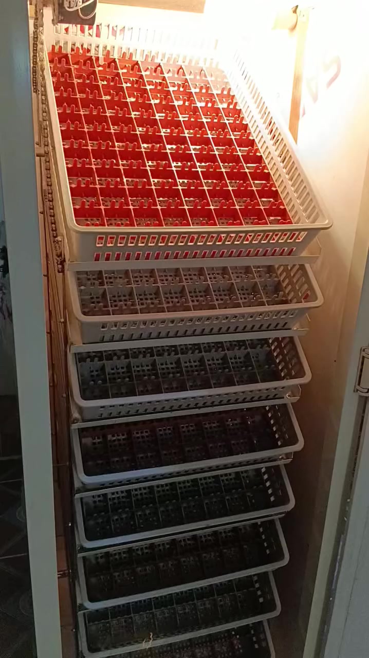 *********** 🐣🐣🐣
متاح مفاقس عدد2سعة كل مفقس 700+700بيضة سعركل مفقس 450الف فول اوتوماتيك مبخرة خارجية نضام هيتر انتاج معمل (سيد حسين النحال كركوك) نسبة تفقيس 85٪شرط التفقيس والفحص المكان كركوك روناكي غير متاح في الخاص الاتصال علا الرقم فقط
