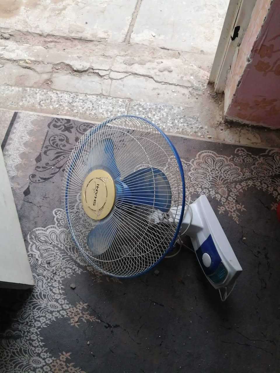 اغراض مستعمله كلمن وسعره ... اسعارمناسبه .. متوفرتوصيل جميع المحافضات


**إذا كنت صاحب هذا الإعلان وتريد حذفه لأي سبب، رجاءا أرسل رسالة إلى الدعم الفني**