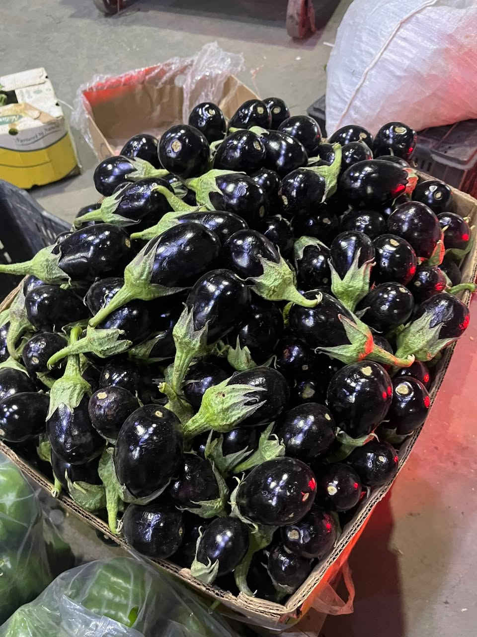 "يا هلا بيكم.. اليوم نزلنا للسوق، والخير كلش هواي والأسعار بلاش! 🍎🥦 لا تفوتكم عروض اليوم، الحقوا قبل لا تخلص الكمية!"
ثانياً: قائمة الأسعار (مرتبة بشكل أنيق):
عروض الخير من علاوي مصطفى الشمري: 🥬🍅
 🍇 العنب: 1000 دينار.
 🍉 الرقي: 500 دينار.
 🍅 الطماطم: 3 كيلو بـ 1000 دينار.
 🍌 الموز: 1000 دينار.
 🧅 البصل: 3 كيلو بـ 2000 دينار.
 🥒 الخيار: 3 كيلو بـ 2000 دينار.
 🥔 البطاطا: 3 كيلو بـ 2000 دينار.
 🍆 الباذنجان: 3 كيلو بـ 2000 دينار. 
‏خدمة توصيل ***********￼
