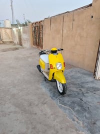 ماكس بوليسي • مديل ٢٠١٠ • البصرة الزبير