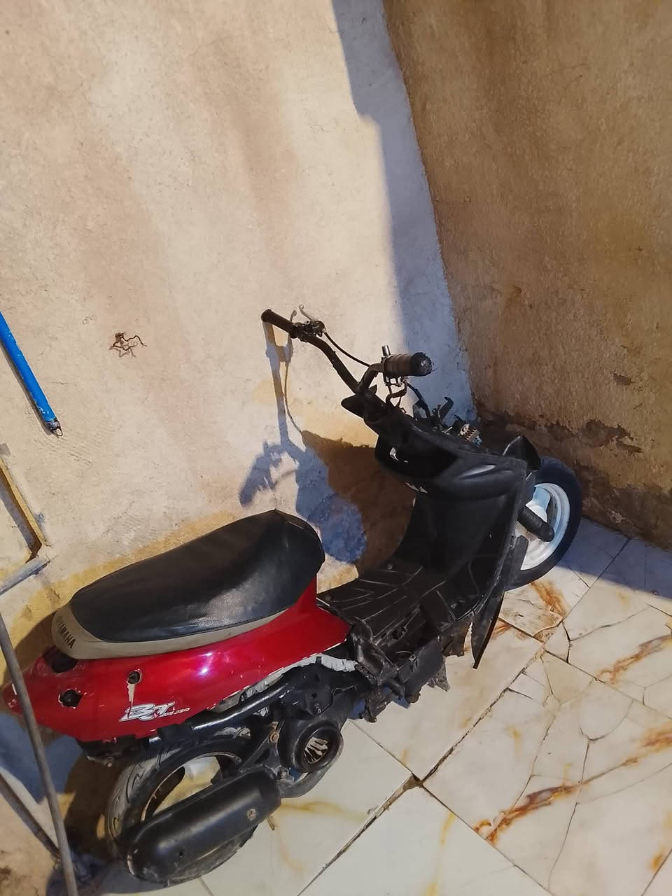 للبيع تسع ازروف للبيع نضيف مامفتوحه بدون اوراق السعر 150


**إذا كنت صاحب هذا الإعلان وتريد حذفه لأي سبب، رجاءا أرسل رسالة إلى الدعم الفني**