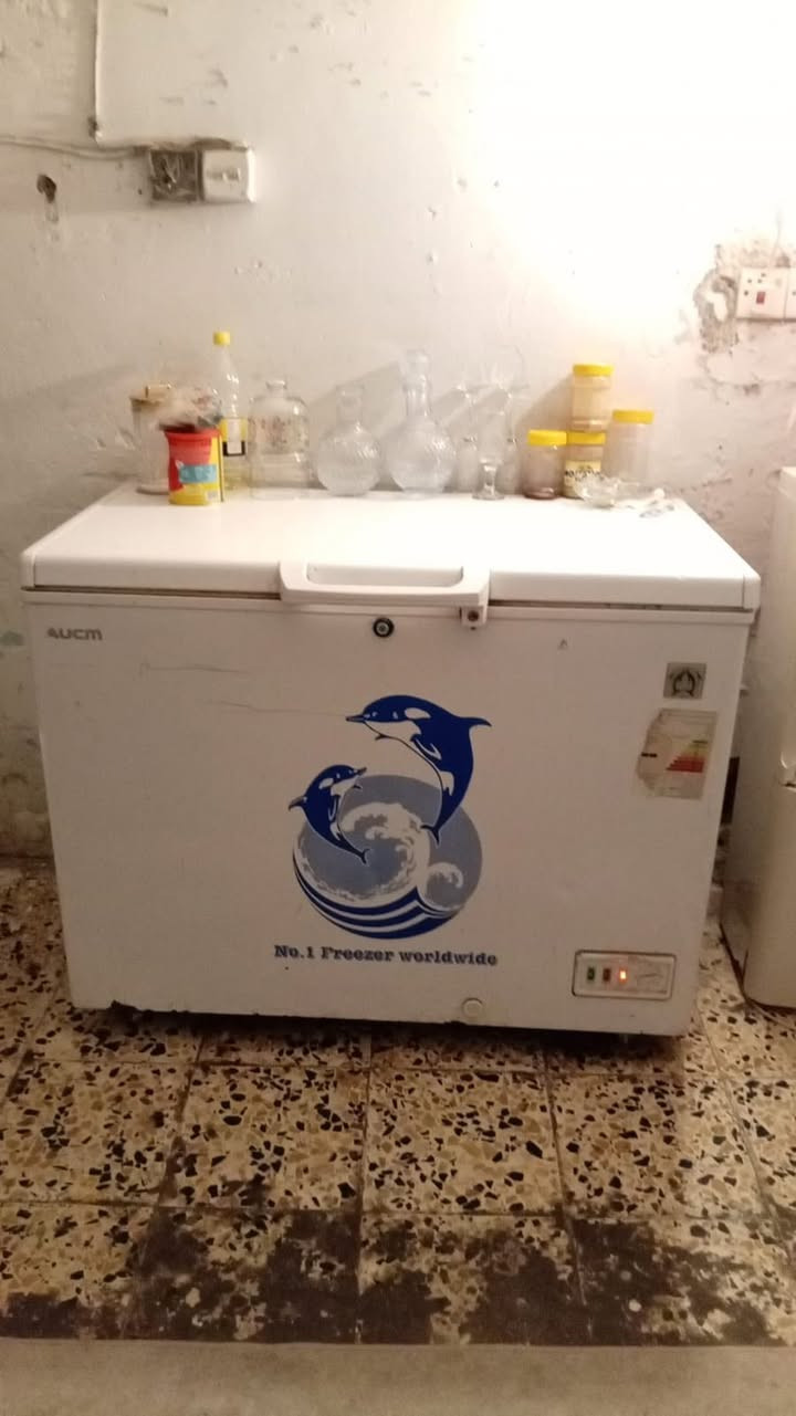 السلام عليكم من رخصه الادمن مجمده للبيع شغاله نظيفه المكان بغدادالجديده الشراي يتصل ممتواجد خاص الرقم***********
