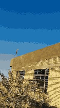 اخوان الشغل النضيف والمصداقيه عنوانه درجه اولى وننصح بعملنه ماعدنه منا...