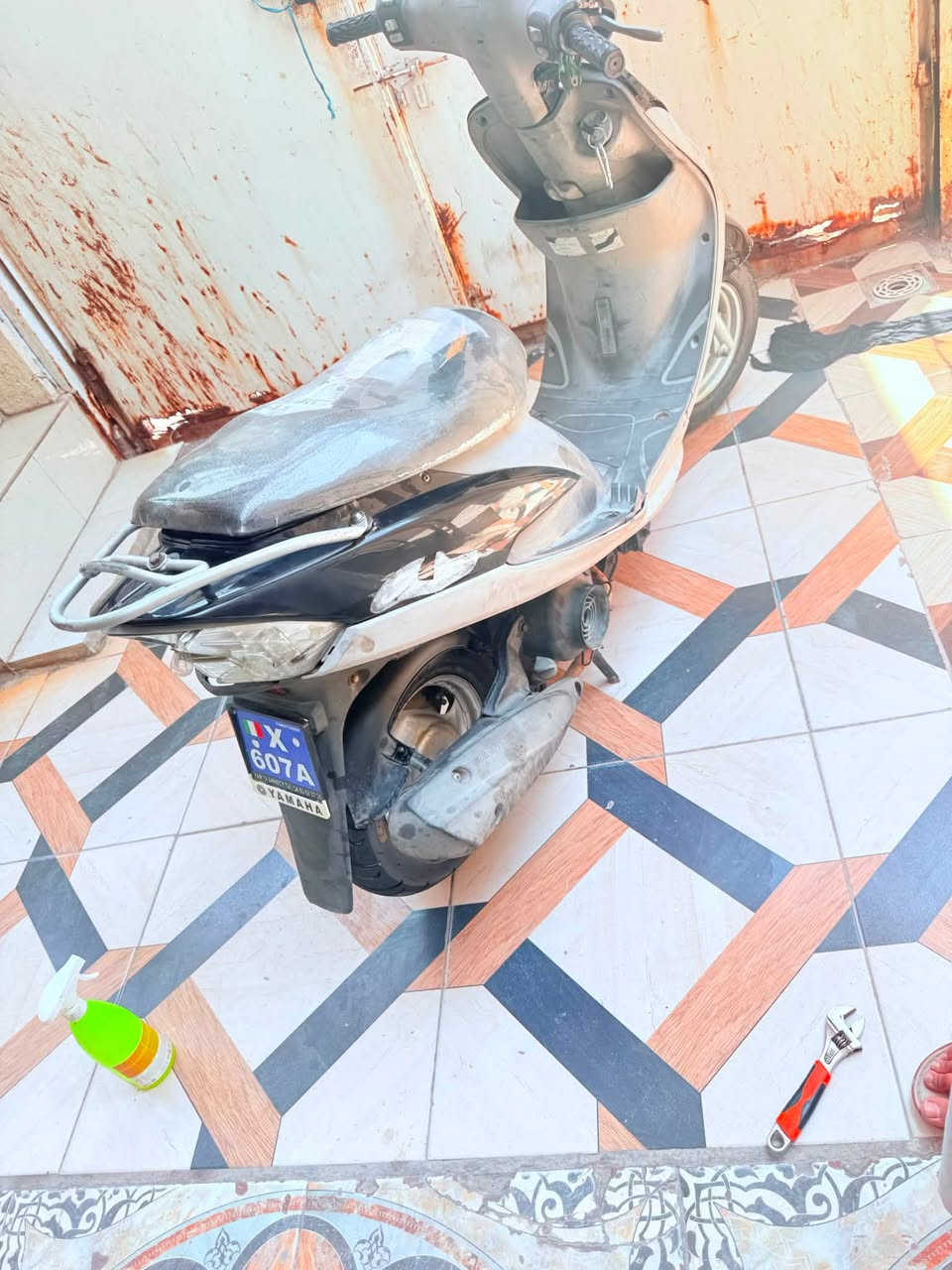 دراجه قجمه للبيع الدراجه كلشي شغال بيه نكره سلف وهندر الدراجه كفاله مكينه وشاصي واكفله الك بوكه
ومن كلشي اكفله الك مديل ٢٠٠٦وختم واحد الدراجه والكزور بلاد الدراجه رايده ب٧٠٠وبيه مجال للشراي العنوان البصره الجنينه -شارع المستوصف ***********
