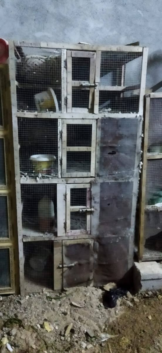 السلام عليكم اخوان خانات انضاف كلش كاملات هناه ومناهلهن وطوسهن مال مكفاف خانه ام 12 طبك سعره 75 ومهات ال 4  العدد 3 سعر الوحده  35 وم الثلاثه ب15
اوذه شلع ب150 قفل وعدي جبره حديد هم البيع سعره ب125 وعدي واجهيه خشب كول اربعه متر جديده ومرتبه سعره 50 وهاذ رقمي ***********
