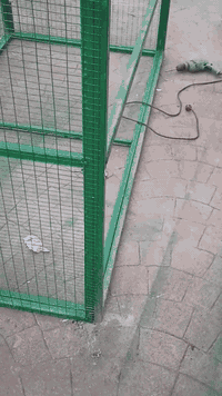 قفص للبيع حديد مغلون قياس 1 انج 2 ملم ثقيل
مصبوغ لون اخضر 
تصميم على شكل خانات يتفصخ
قياس
 عرض 1 متر  
ارتفاع 2 متر 
طول 2 متر 
*********** 
قضاء بلد
