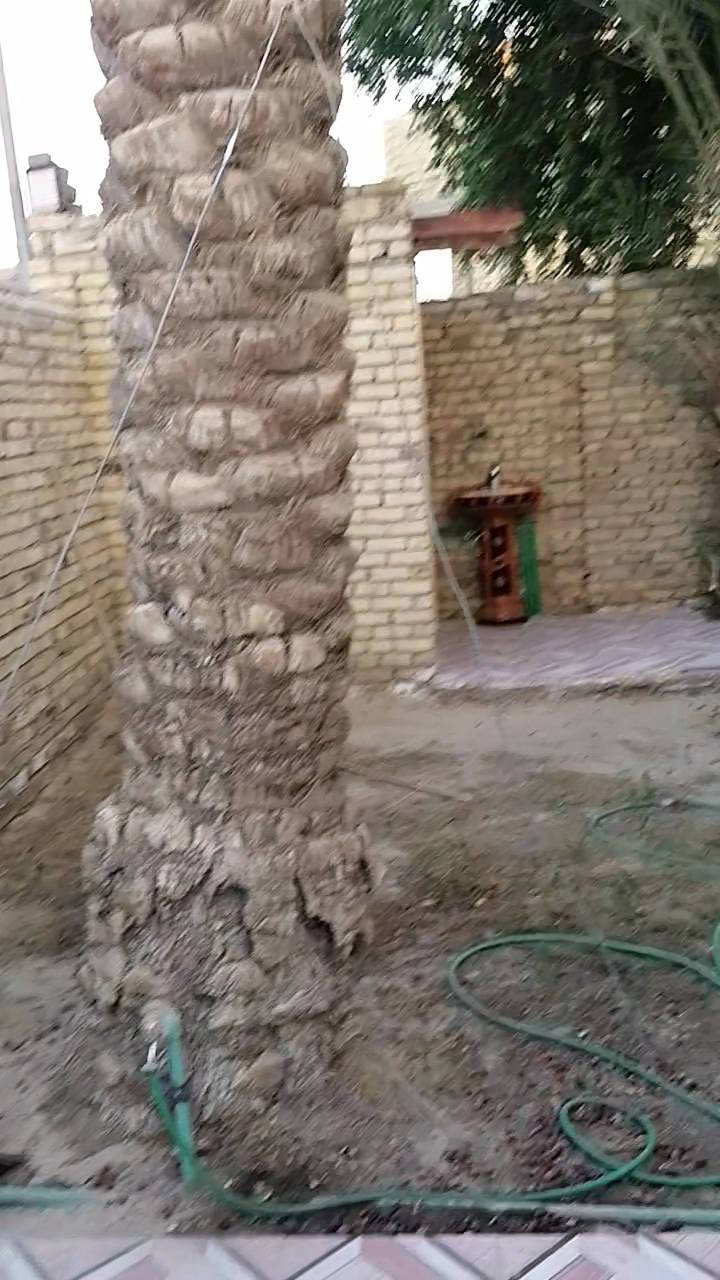 دار سكن طابو صرف
المساحة ٢٣٥ متر
البناء طابق واحد عكادة
المشتملات
استقبال وصاله ومطبخ وغرف نوم عدد ٢
ودرج وبيتونه
وممر كبير على شكل حرف L  
وحديقة
الموقع حي العسكري الثالث قرب المستوصف مباشر ثاني دار عن الشارع الرئيسي شارع ٣٠
السعر ٩٠ مليون
للاستفسار أكثر مراجعة مكتب التوكل للعقار الكائن في حي العسكري شارع ٣٠ او الاتصال والمراسلة على الواتساب على الرقم ***********
@إشارة
