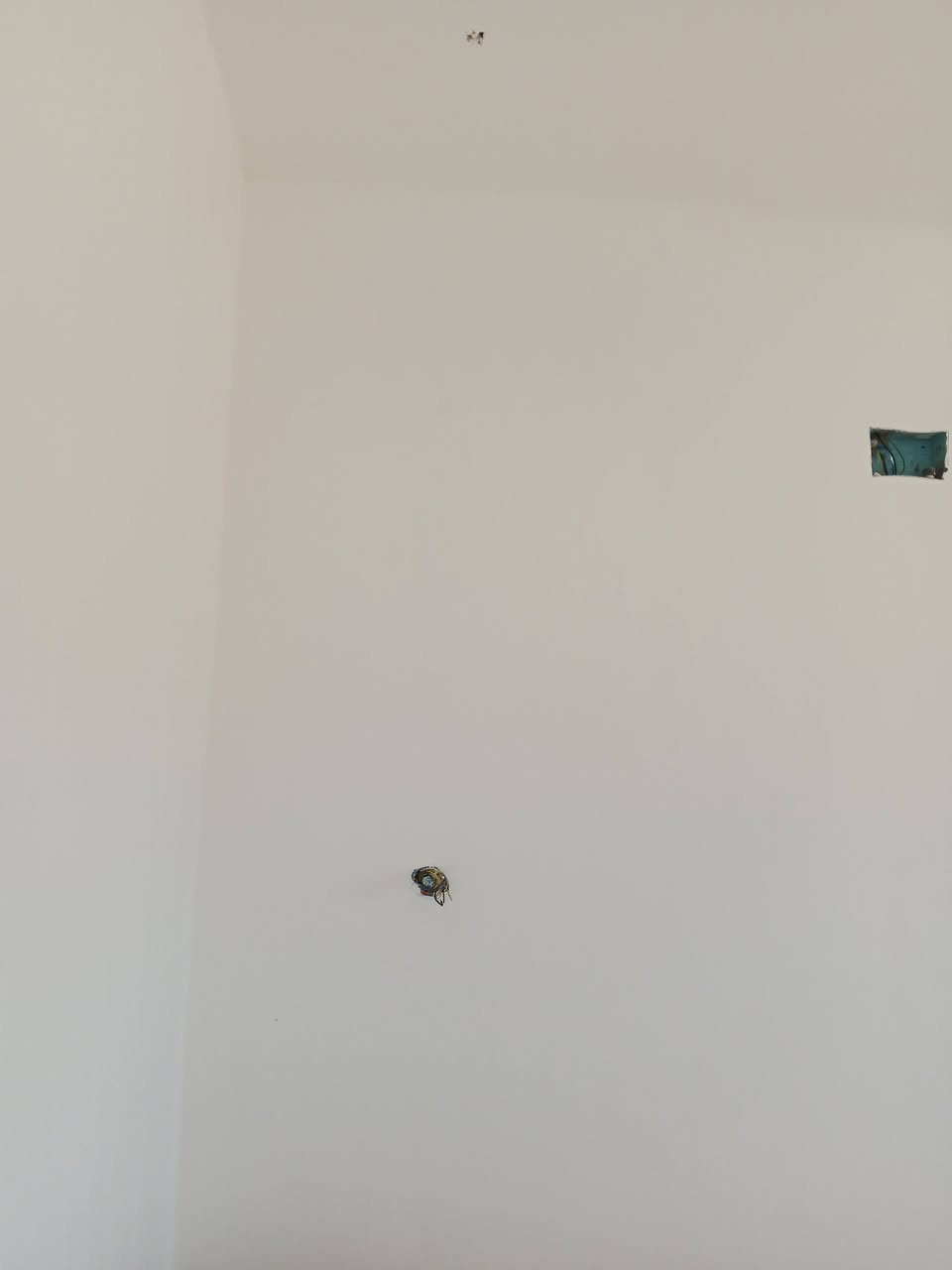 السلام عليكم خلفة البخ متفرغ شغل سمنت وجص وبورك. شغل درجه اولى اشراف هندسي.   التزام بلعمل والموعد.  متفرغ حاليا. *********** متوفر واتساب
