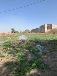 الخيرات الفيادة • ٣٫٥دونم • طابو زراعي