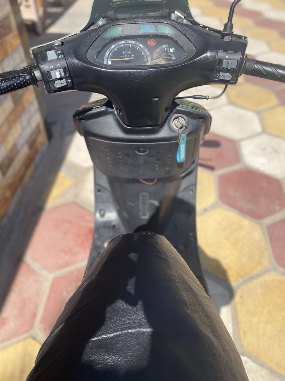 سلام عليكم فراشه فحل كرستال للبيع خير من الله ب300 وبيه مجال مكان بلقاسم ***********
