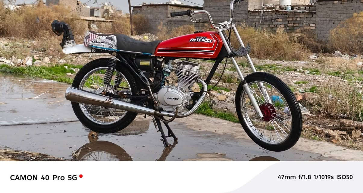 السلام عليكم انتنس شاصي تايكر ٢٣
تعميرة ٢٥ مبدل ولفات فقط بوشه ما مفتوحه كشن رقم واحد راصطه باكستاني
الرقم ***********
مكان بغداد الغزاليه
السعر ٥٥٠وبيهه مجال للطيبين
