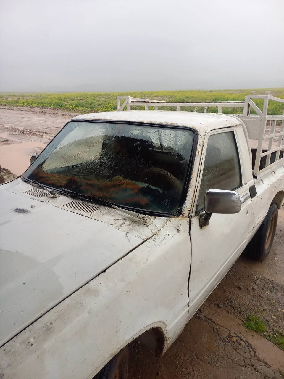 السلام عليكم 
بيكم تيوتا 80 للبيع رقم نينوى
مكان السيارة الموصل ناحية زمار
السعر 18 ورقة رقم الهاتف ***********
