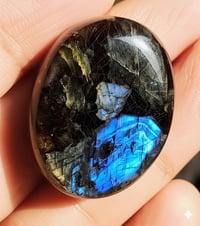 النوادر المتحفية • حجر الطاووس • لابرادوريت