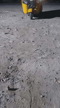 هورنات بوش • إيراني • جديد