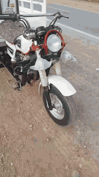 سلام عليكم ستوته للبيع موديل 14جاهزه ورقم وسنويه ستوته تخبل مكاني رفاعي للستفسار علا  رقم ***********
