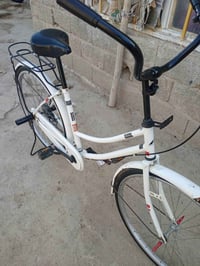 باسكل • للبيع • سعر خاص