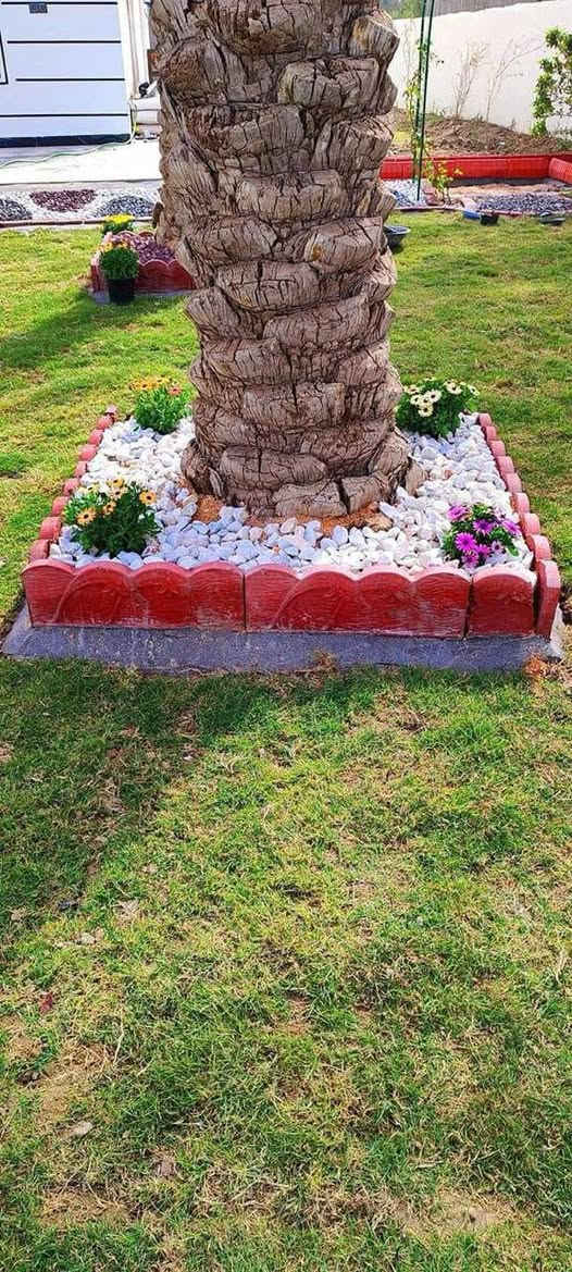 🌿جانب من اعمالنا في تصميم الحدائق
حوّل بيتك إلى جنة خضراء مع مشتلنا! 🌸
هل تبحث عن الراحة النفسية والجمال الطبيعي؟ في مشتلنا، وفرنا لكم تشكيلة واسعة من النباتات التي تناسب ذوقكم وأجواءنا:
أشجار زينة وظل: لإضافة فخامة وبرودة لحديقتك.
زهور موسمية ودائمية: ألوان تفتح النفس وعطور طبيعية.
نباتات ظلية داخلية: لتنقية هواء منزلك وإضافة لمسة ديكور راقية.
شتلات فواكه: إنتاج منزلي طازج ومضمون.
نحن نهتم بجودة التربة وقوة الشتلة لضمان استمرار نموها عندكم. زورونا اليوم واختاروا القطع اللي تناسب زوايا بيتكم!
💥  لطلب المنتج واتساب: +9647869349257 🚚 توصيل لجميع محافظات العراق مجاني


**إذا كنت صاحب هذا الإعلان وتريد حذفه لأي سبب، رجاءا أرسل رسالة إلى الدعم الفني**