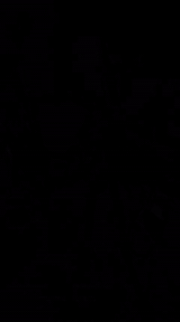 بايسكل بناتي • موديل 19 • الحسينية المعامل