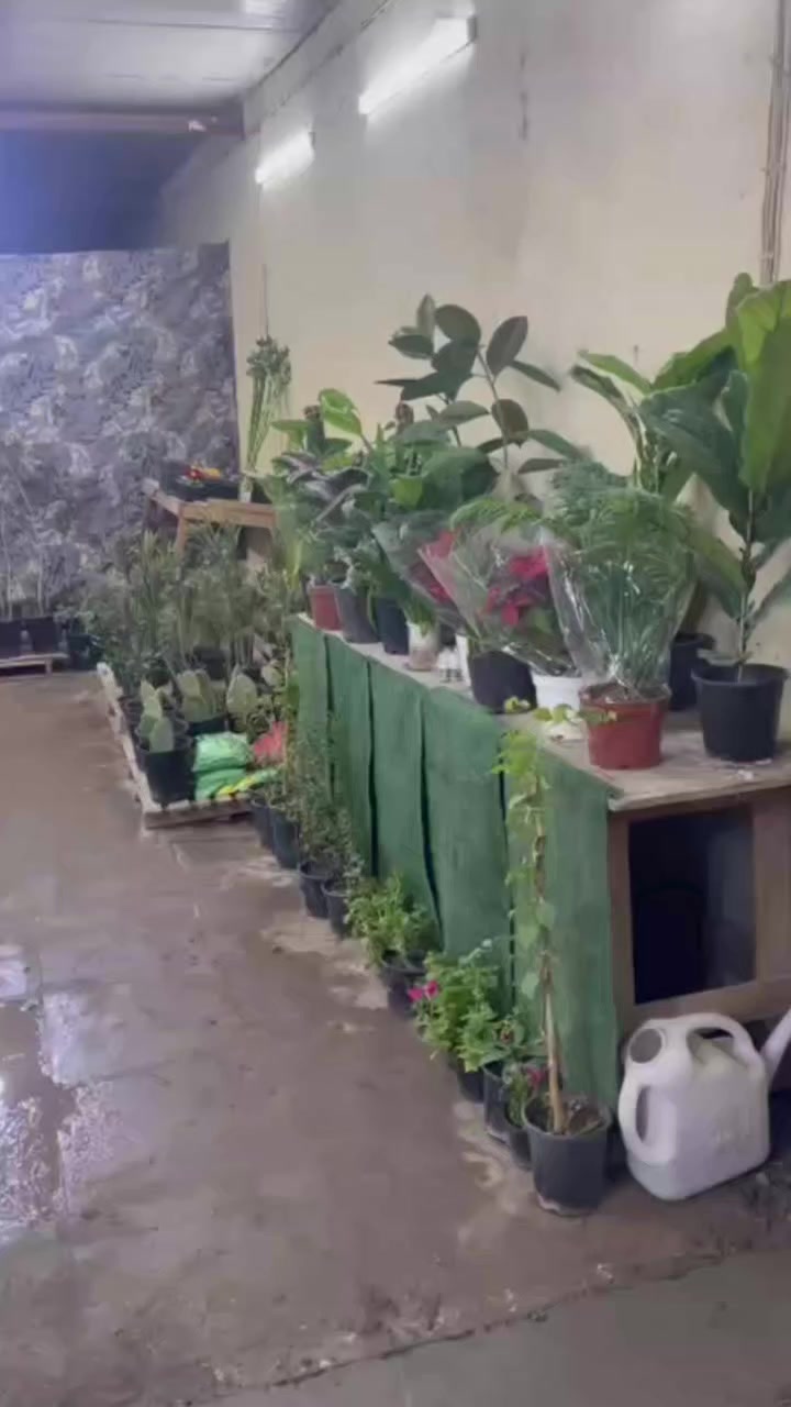 الحيره،شارع،الصنين قرب مستوصف حي النعمان


**إذا كنت صاحب هذا الإعلان وتريد حذفه لأي سبب، رجاءا أرسل رسالة إلى الدعم الفني**