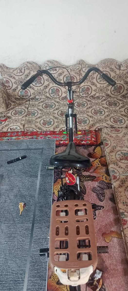 سلام عليكم.! باسكل للبيع او مراوس شركه سانتوس مديل 16 حجم 26 مكان كربلاء حي العامل سعر 90وبي مجال غراضه موجوده بس بريك كدام ما موجود


**إذا كنت صاحب هذا الإعلان وتريد حذفه لأي سبب، رجاءا أرسل رسالة إلى الدعم الفني**
