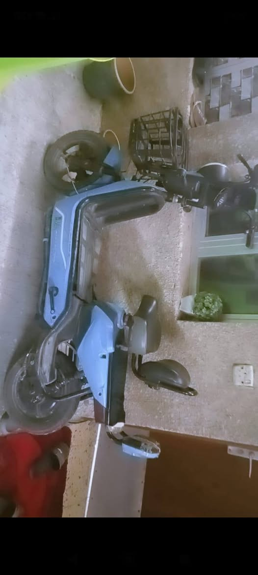 السلام عليكم دراجه شحن حجم 14 الببع سعر 250 وبيها مجال 
مدينه الصدر 
تواصل ***********
