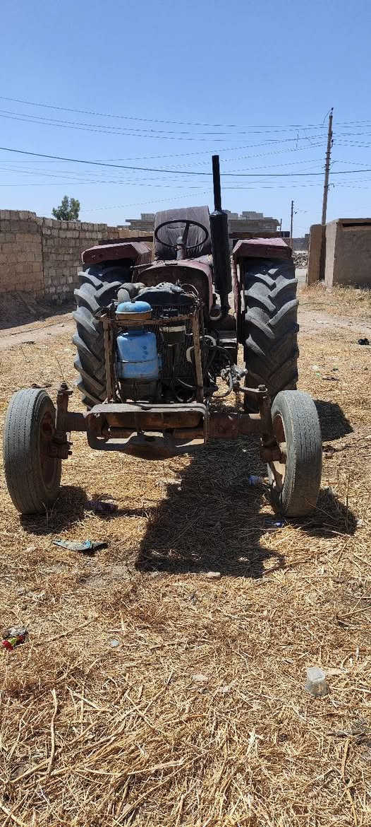 عنتر للبيع عنوان سنجار السعر 3500 التفاصيل ***********##***********
