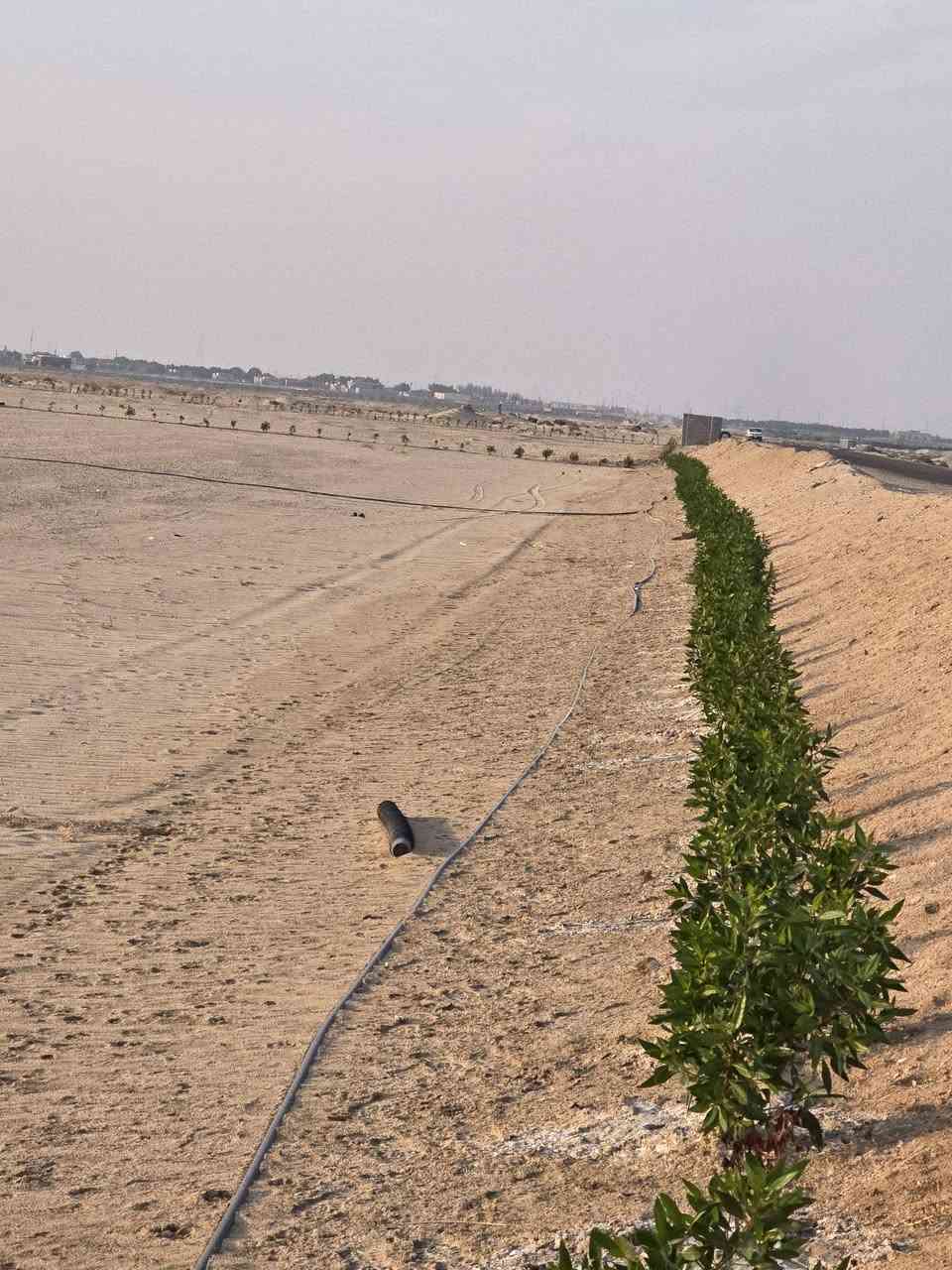 السلام عليكم
للبيع ١٤ دونم واجهة على الشارع الوجه ١٠٠متر والنزال ٣٥٠ متر
مع بير ارتواز وغطاس وكهرباء وطنيه السعر مناسب جدا ٤٥ مليون مجال قليل العنوان نهاية طريق النجمي تتجه يسار على تبليط الرفيع قرب مدرسه الحليوات قرب مزرعه بيت العاشور
الهاتف ***********
