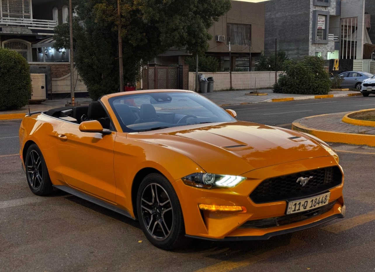 الغزالة للبيع 🧡
موستنك ايكو بوست 2022 كشف لون مميز

ماشية ١٦ الف السيارة بعدها بوضع الشركة وكلش نظيفة

مواصفات السيارة

كشنات كهرباء 🧡

كامرة خلفية 🧡

صندوك كهرباء 🧡 

ترحيب ذكي 🧡

تثبيت مسار 🧡

نقاط عمياء 🧡

رادارات محيطه خلفي وجانبي 🧡

تحكمات ستيرن 🧡

شاشة كبيرة 🧡

كار بلي 🧡

وغيرها هواي مواصفات ومواصفات الايكو بوست معروفة

السيارة حادثها سطحي جدا قطعتين جاملغ وشويه من البنيد واجه من امريكا الجاملغ مرشوش دبل كوت (كلير) بدون دواخل 🧡

السيارة ستوك مملعوب بيها وحتى حجر البيئه مملعوب بي ومكفوله كير ومحرك وتبريد وصدر وجديدات 🧡

السيارة رقمها بغداد الجديد وهزة جديدة وسنوية لل٢٠٣٠ 

السيارة بأسمي تحويل ثاني يوم

السيارة كلش نظيفة ومتتقارن بالمهجومات 🧡

وللعلم قبل ٣ ايام مبولشها للسيارة يعني تلمع لمع 🧡

مكان السيارة اليرموك بغداد 

سعر السيارة ١٨٥ وبيها مجال 🧡
للتواصل 
***********
