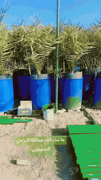 الراغب بالشراء العنوان واسط قضاء الصويرة قرب محطة وقود ديار شمر ***********
