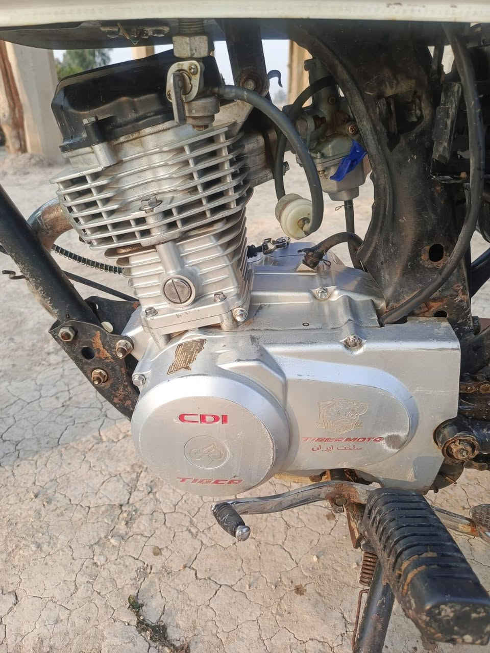 سلام عليكم دراجه للبيع تايكر موديل 21 اوراق كامله حربي محرك لا تنقيص ولا تبخير ولا نضوح دراجه خير من الله؟ مكاني المحموديه ناحيت الرشيد سعر خاص.***********بي واتساب
