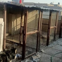 قفص حديد • زاويه • چينكو