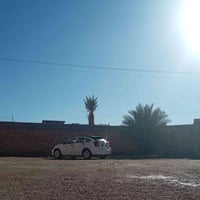 كاليبر • ٢٠٠٨ • مكفوله گلب وگص