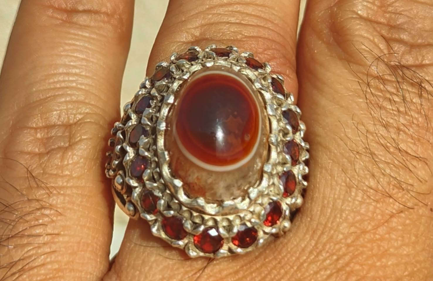 السليماني الاحمر الهندي العين الصريحة صياغة تطعيم للبيع ***********
