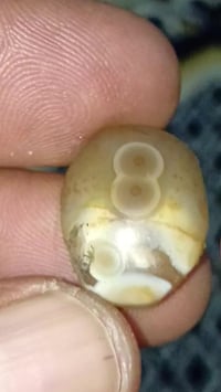 💖💖أفلح من صلى على محمد وآل محمد 💖💖      💖 نوادر العقيق السليماني تحفه ...