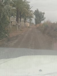 اخوان عدنه 600متر  البيع مناسبه  ترهم سكن وترهم مزرعه كلشي ترهم  كهربا...