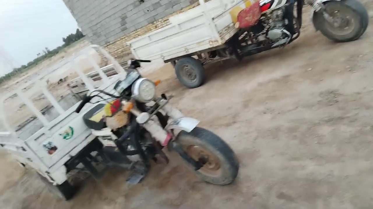 ستوتات للبيع عدد 2 تفاصيل بل فيدو لحد يراسل شراي ينتصل عل رقم لن اغلبيتهم بس يراسلون ومحد يشتري ***********
