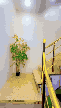 للبيع دار مساحه ١٠٠ متر طابقين طابو زراعي سند ٢٥ منطقة البلديات حي التراث الزراعي بداية المنطقه موقعه شارع حلو وعريض مرتب السعر ١٥٧ مليون للإستفسار مع رقم مكتب المستقبل ***********
