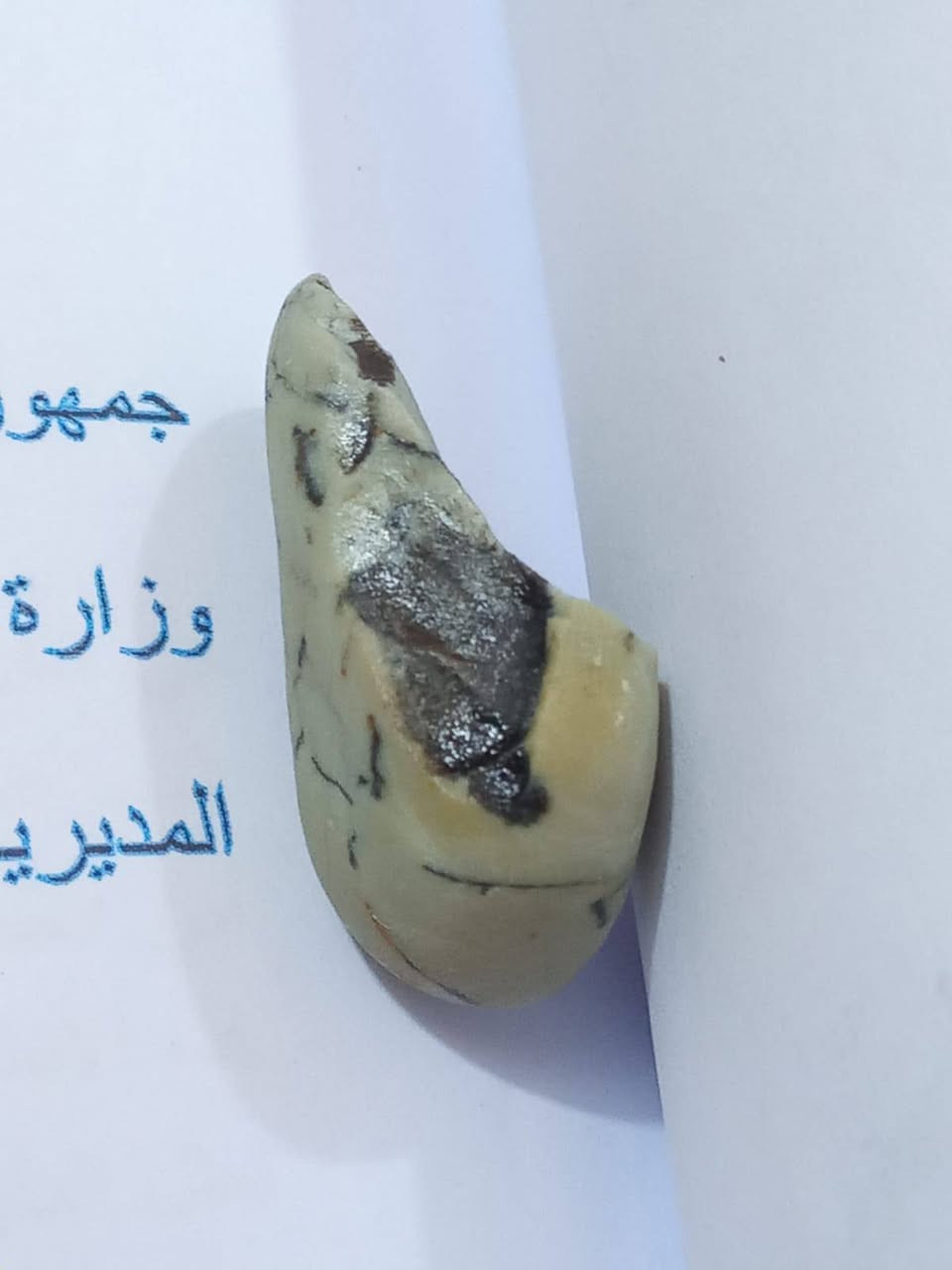 سلام عليكم ورحمة الله وبركاته هاي الحجر خبلني كل واحد يكلي شكل الي يعرفه يكتبنه بل تعلقات للعلم بعده خام مامصغول ابد لكيته بصحراء حجر ملاكط لي يريده يشتريه يكتبنه بيش يفيده


**إذا كنت صاحب هذا الإعلان وتريد حذفه لأي سبب، رجاءا أرسل رسالة إلى الدعم الفني**