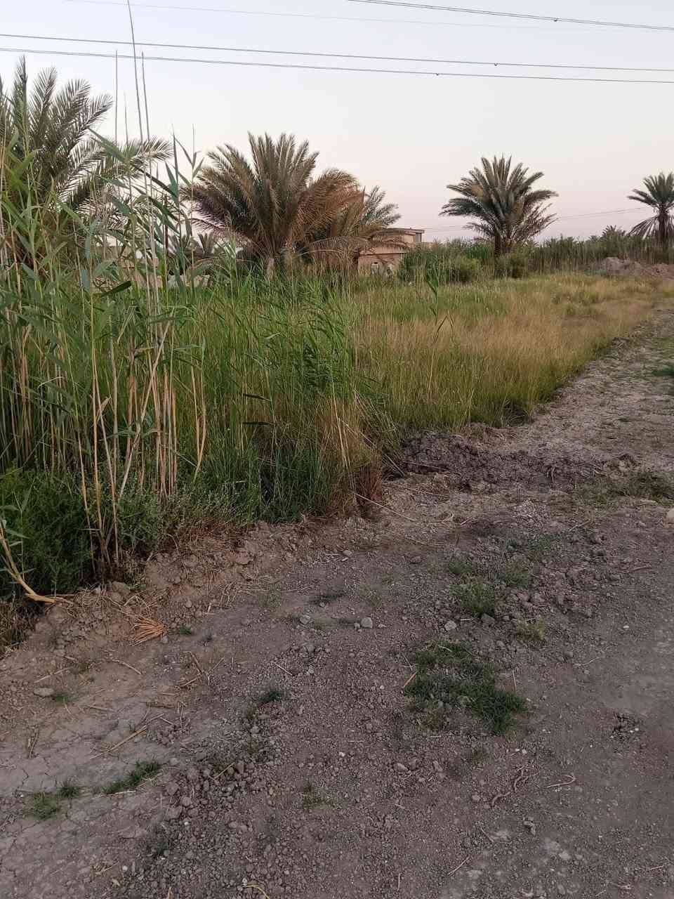 فرصه مميزة لتملك عقاراً 🏡
🔹مساحه العقار دونم ونص 

🔹جنس العقار : طابو ملك صرف 

🔹خدمات متكامله 

🔹الموقع اطراف الشعله 

الاستفسار عن السعار والتفاصيل خاص
او الاتصال على الرقم (‭***********‬)
