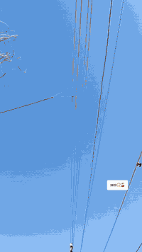 22اوراق اوراق كفاله كشره ومكينه الشراي يتصل ***********
