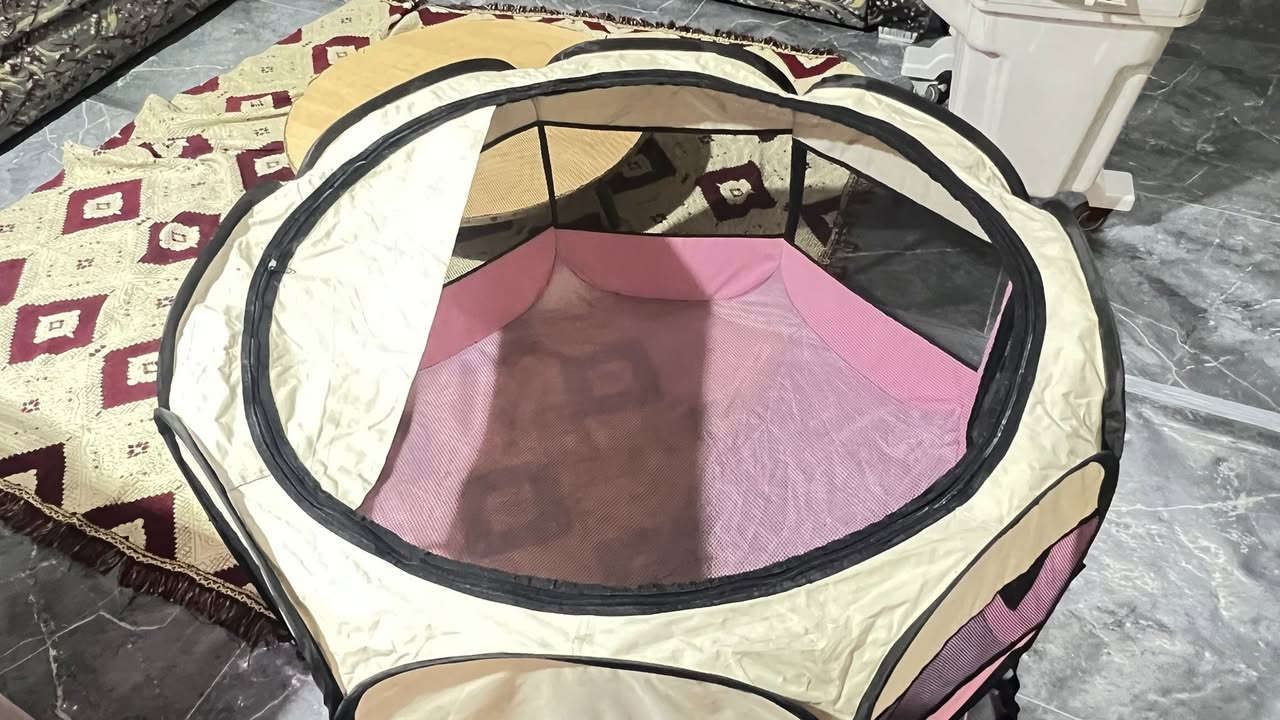 اغراض قطط وكلاب وطيور للبيع باسعار جداً مناسبة


**إذا كنت صاحب هذا الإعلان وتريد حذفه لأي سبب، رجاءا أرسل رسالة إلى الدعم الفني**