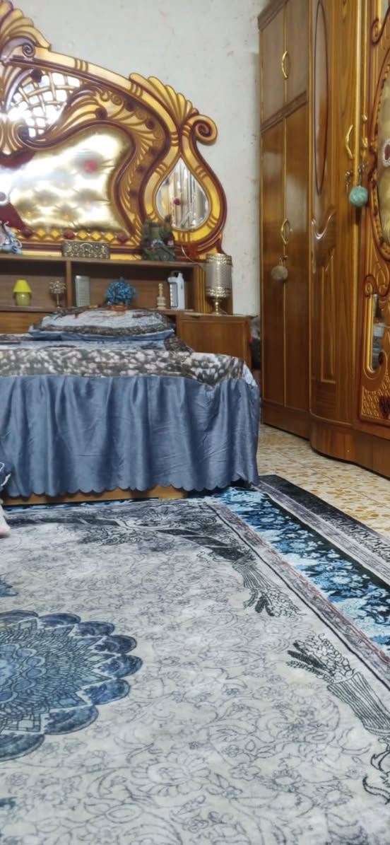 غرفه عراقي للبيع بسعر ٣٥٠ المكان ام الكبر وغزلان


**إذا كنت صاحب هذا الإعلان وتريد حذفه لأي سبب، رجاءا أرسل رسالة إلى الدعم الفني**