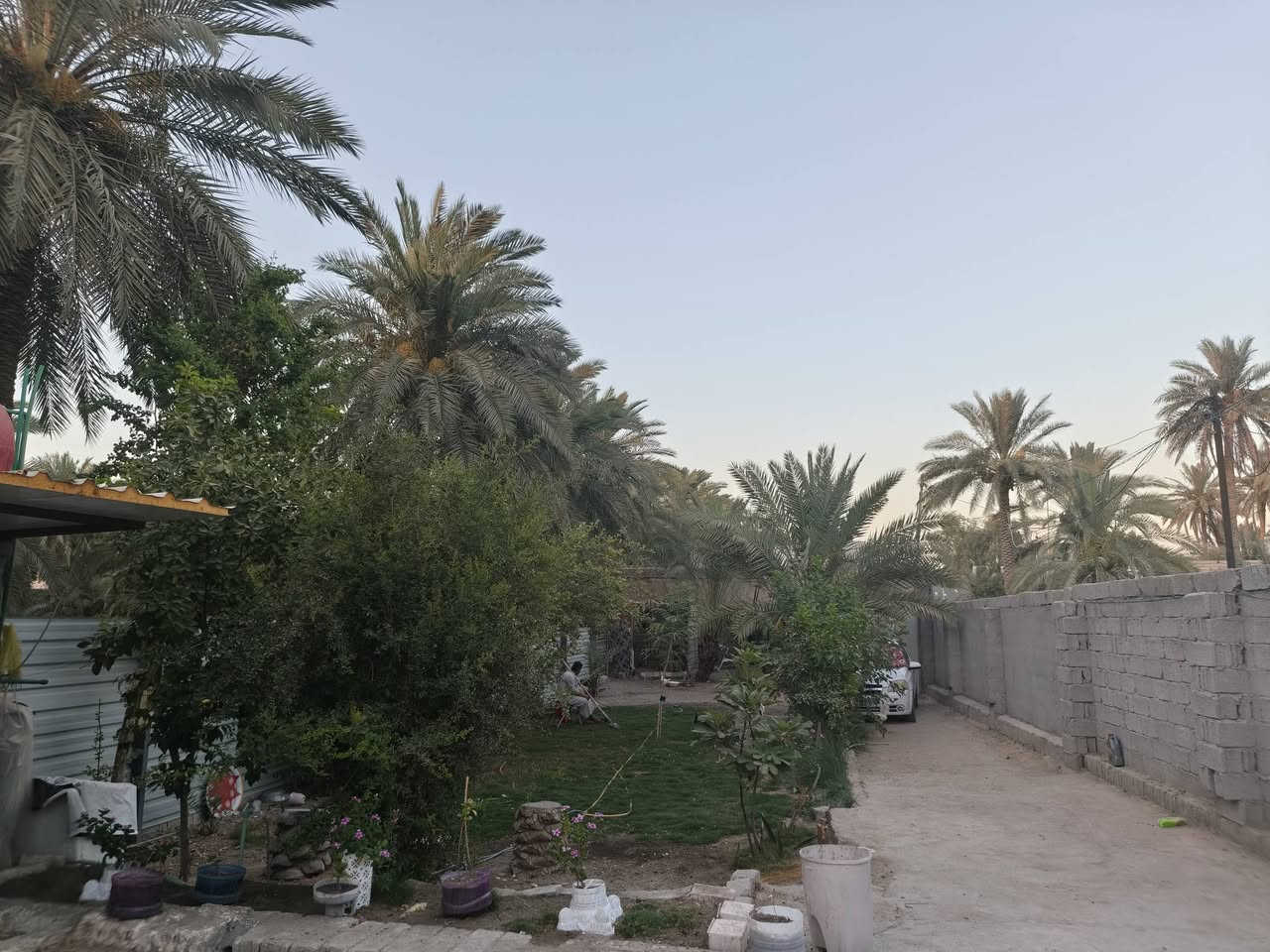للبيع بيت مع حديقة – 
السلام عليكم ورحمة الله وبركاته.
بيت مع حديقة للبيع، بمساحة كلية 600 متر²، التفاصيل:
🔹 الحديقة: 300 متر²
🔹 مساحة البيت: 200 متر²
🔹 100 متر² خلف البيت بناء كونكريت مسلح.
مواصفات البيت:
طابوك معمل.
صحيات داخلية وخارجية.
استقبال چبير.
غرفتين كبار.
صالة.
مطبخ چبير.
📍 العنوان: علوة الفحل.
للاستفسار والتواصل عبر واتساب: 📞 ***********
