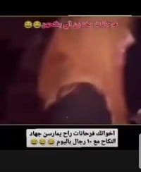 فرحانات • جهاد المناكحة • علي حاتم سليمان