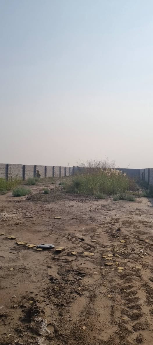 🧿 للبيع 🧿
ارض زراعية مساحه 1400 متر منطقة ارض صالحه الزراعة 
العنوان 🧿 
بداية فرع العيله على اليسار من  تنزل  الشارع قريبه على الشارع مسيجه يوجد فيها كرفان + صحيات وماء وكهرباء  🧿 للاستفسار اولاتصال يتوفر وتساب 
***********
***********
