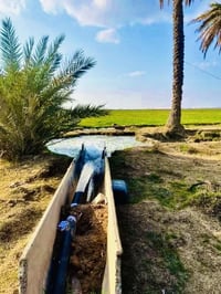 دوانم • طابو زراعي سند ٢٥ • بعقوبة الطريق السياحي