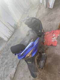 دراجة • تخبل • فول كاملة